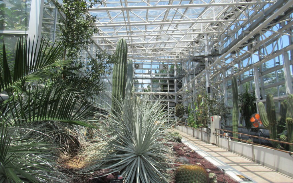 🌳 진다이 식물공원(진다이 쇼쿠부츠 코엔) 이미지 4